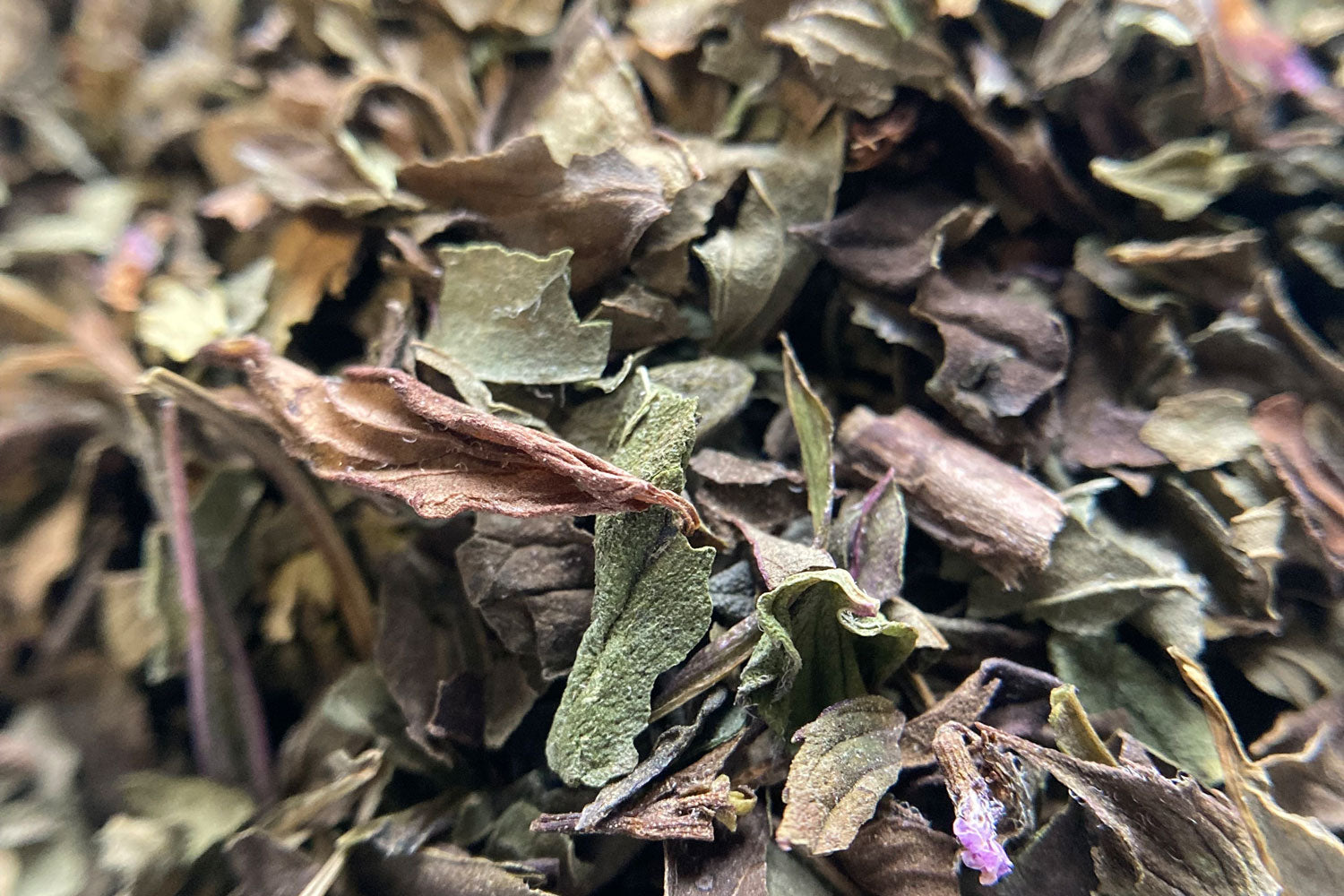 PEPPERMINT [100g]